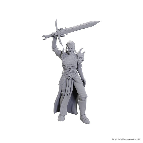D&D Nolzur's Marvelous Unpainted Miniatures: Blackguard